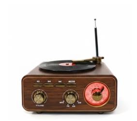 Everton RT-712 Bluetooth Usb-Micro Plak Radyo