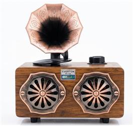 Everton Rt-744 Bluetooth Fm-Usb-Tf-Aux Şarjlı Nostaljik Radyo