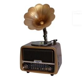 Everton Rt-601 Gramafonlu Bluetooth Fm-Usb-Tf-Aux Şarjlı Nostaljik Radyo