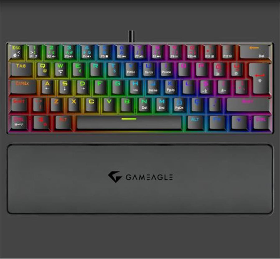 Gameagle GE2020 Helıos RGB Kablolu Tr Layout Mekanik Siyah Oyuncu Klavyesi