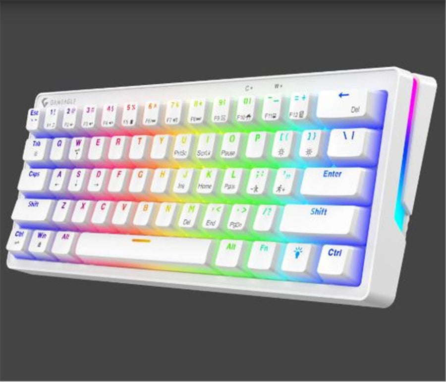 Gameagle GE2015 Poseıdon RGB Kablolu Us Layout Mekanik Beyaz Oyuncu Klavyesi