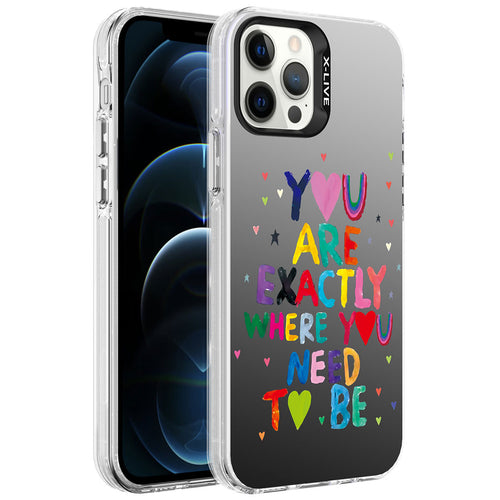 iPhone 12 Pro Max Kılıf Desenli Zore Silver Sert Kılıf - You