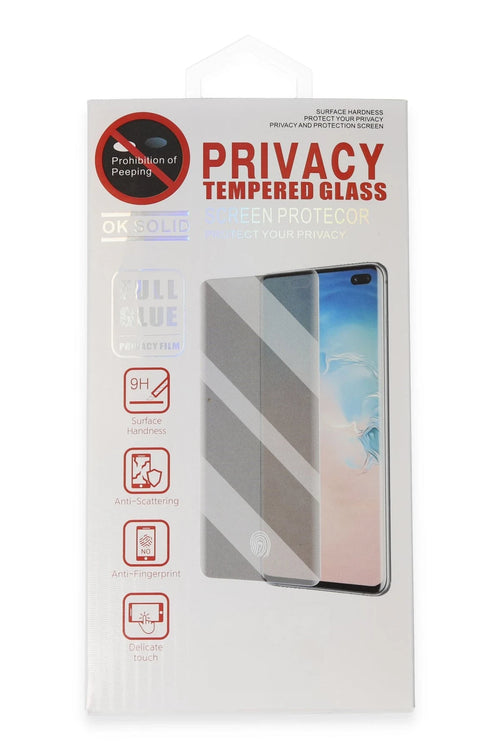 Newface Samsung Galaxy S22 Plus Hayalet Edge Cam Ekran Koruyucu